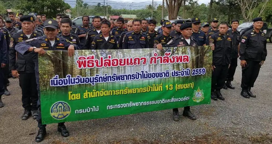 ป่าไม้สงขลา วางมาตรการป้องกันไฟป่าช่วงหน้าร้อนวอน ปชช.ร่วมดูแลด้วย