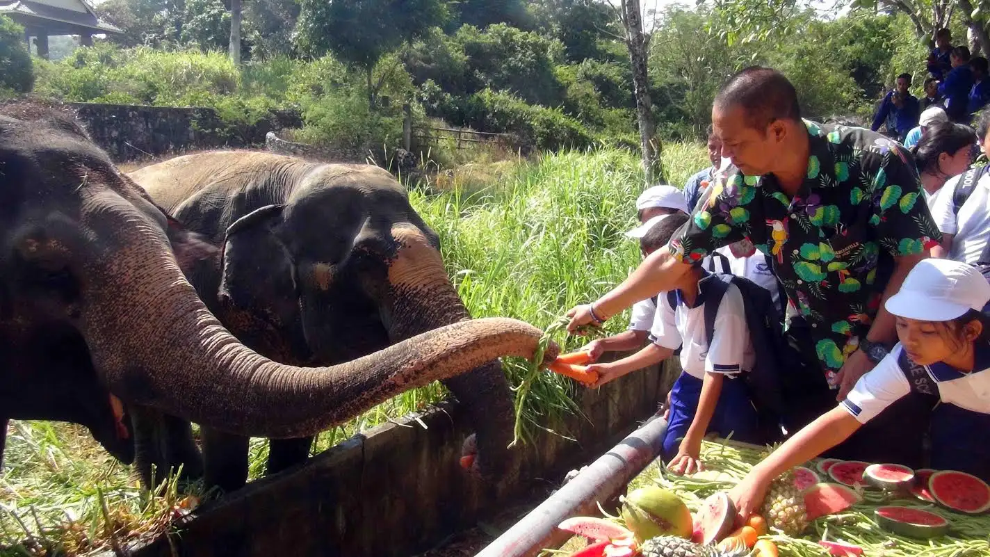 สวนสัตว์สงขลา ดึงเยาวชนร่วมกิจกรรมวันช้างไทยสร้างเด็กรักและหวงแหนช้าง