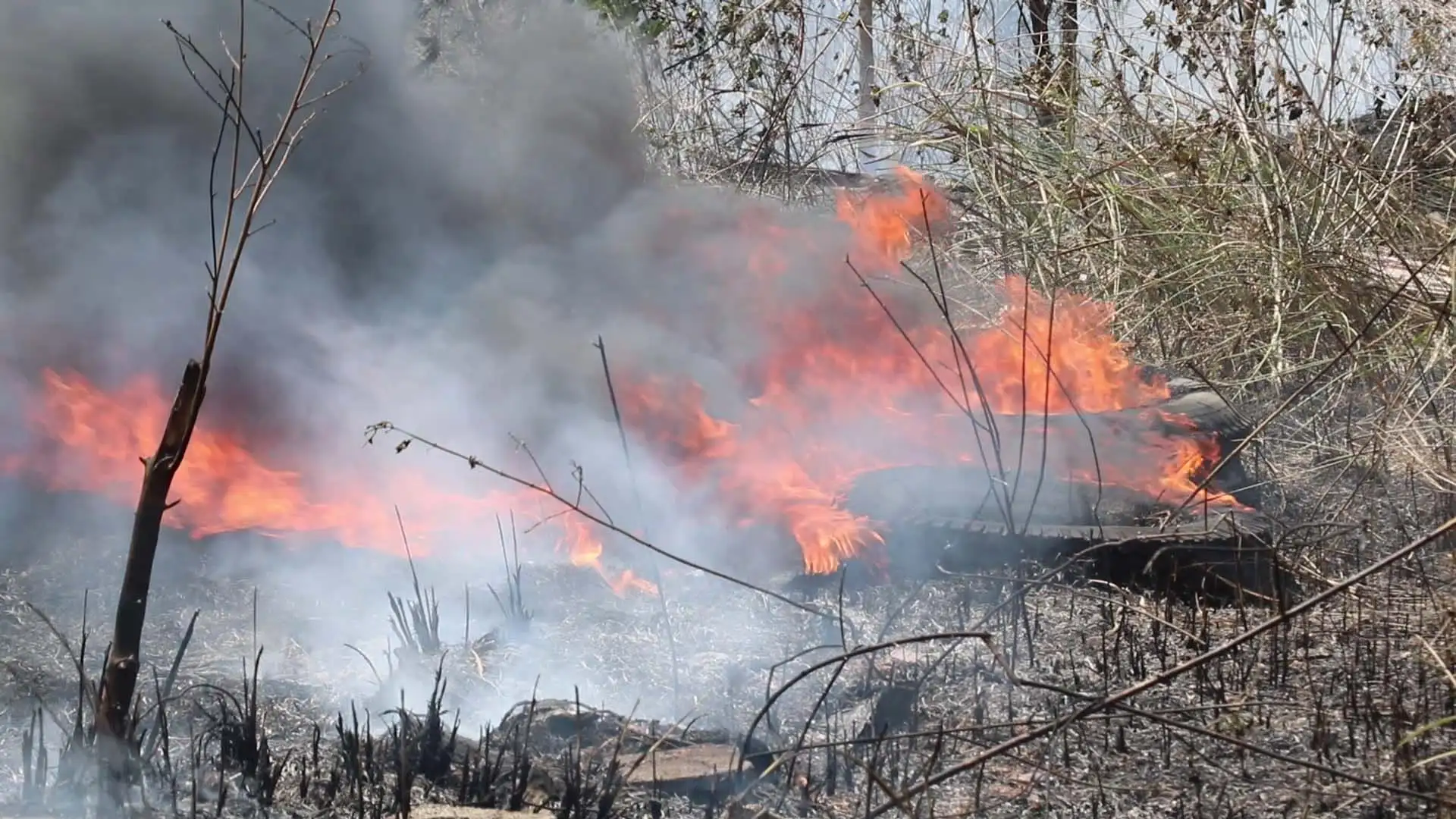 เกิดเหตุไฟไหม้ป่าชุมชนในพื้นที่ อ.บางกล่ำ จ.สงขลา เสียหายเกือบ 20 ไร่