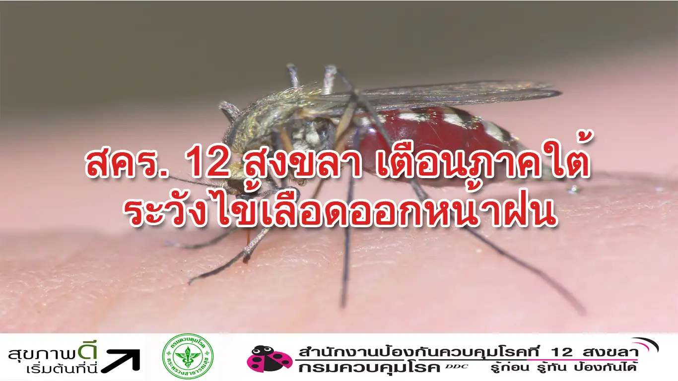 image about สคร. 12 สงขลา เตือนภาคใต้ระวังไข้เลือดออกช่วงหน้าฝน