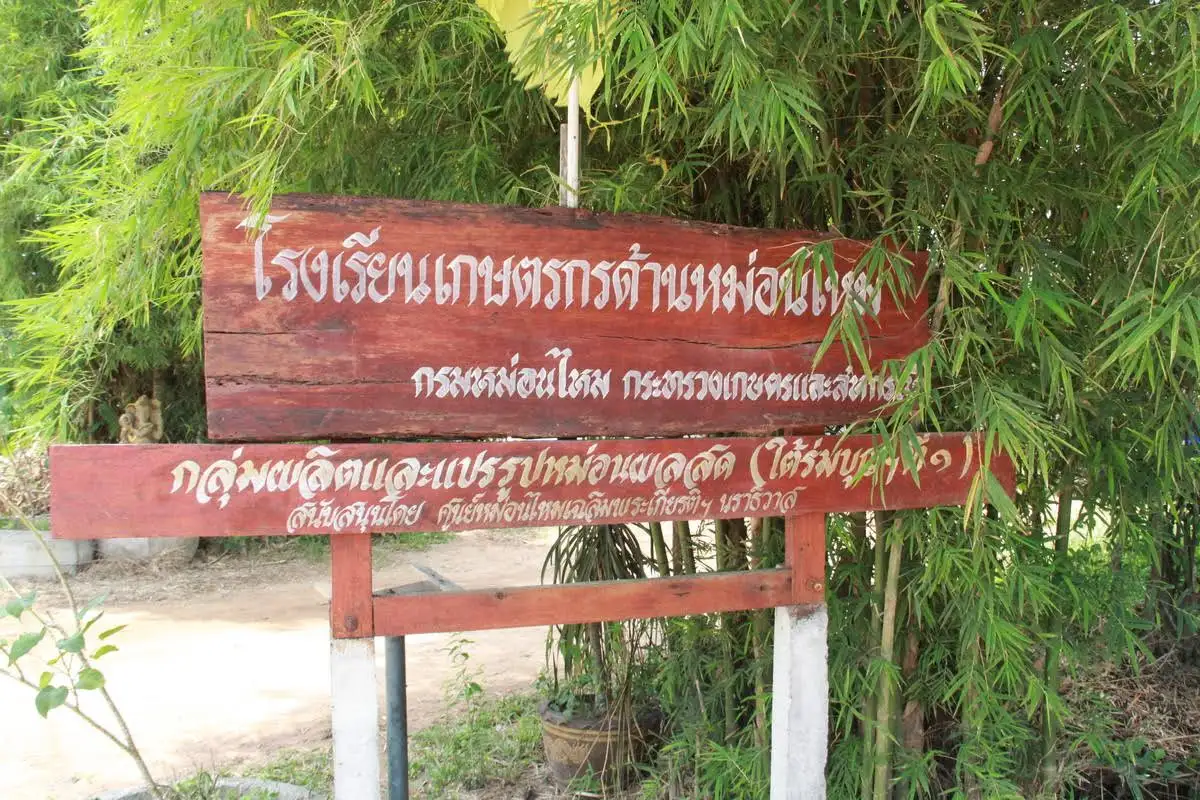 92.jpg