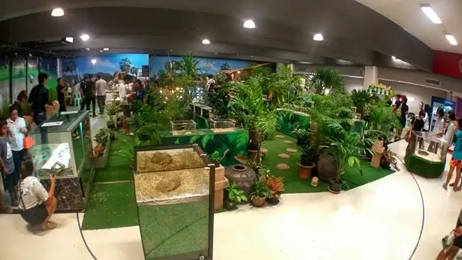 15240324_1321875241215953_1708078898_n.jpg