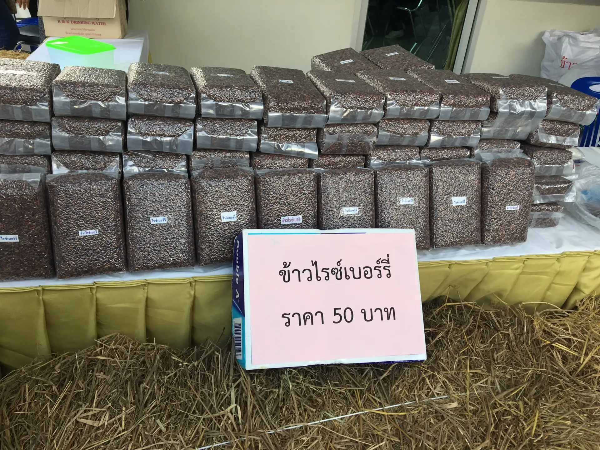 PNEWS16121315294501306.JPG