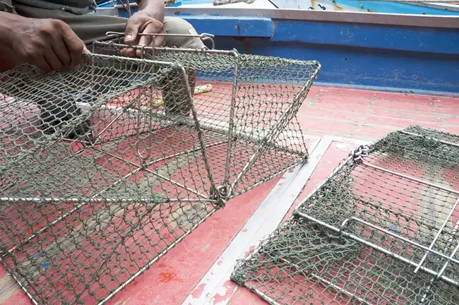 Sentec Crab box (3).jpg