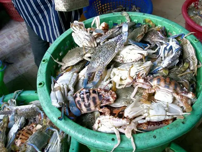 ปูม้า.jpg