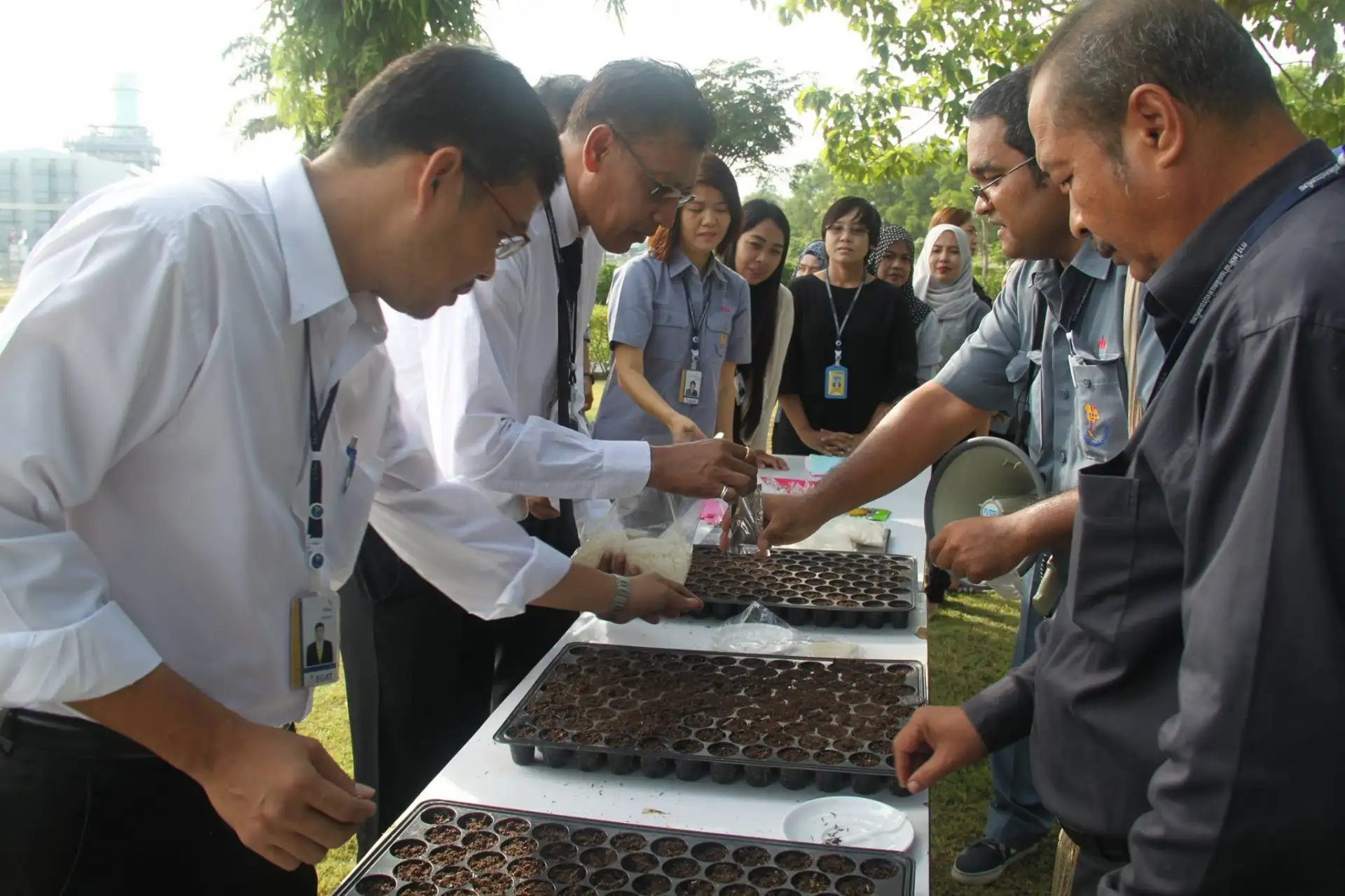 image about โรงไฟฟ้าจะนะ ร่วมรณรงค์ปลูกดอกดาวเรืองและดอกไม้สีเหลือง