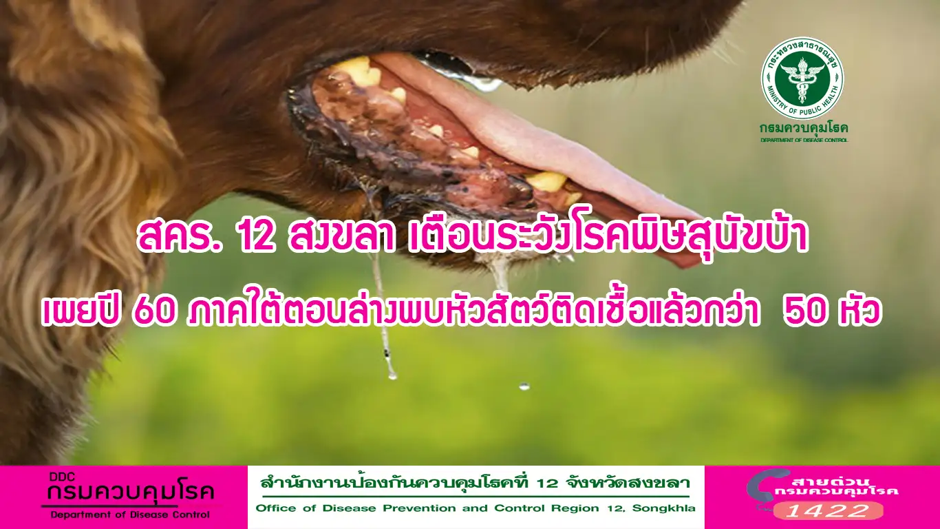 สคร.12 เตือนระวังโรคพิษสุนัขบ้า เผยปี60 ใต้ตอนล่างพบหัวสัตว์ติดเชื้อแล้วกว่า50หัว