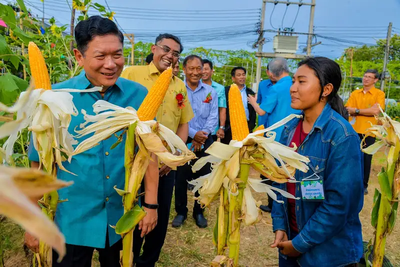 1DSC_5668ข้าวโพด.jpg
