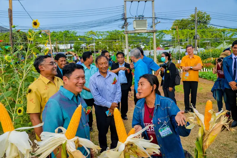 1DSC_5669ข้าวโพด.jpg