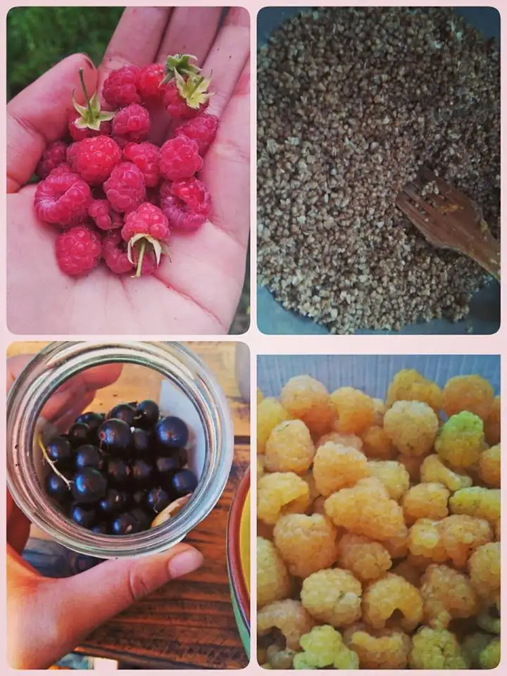 fruit russia.jpg