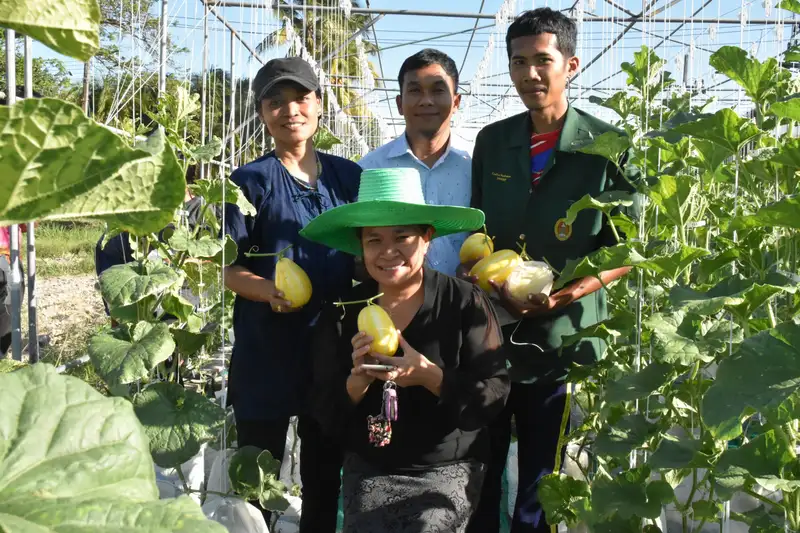 image about เปิดห้องเรียน ‘เกษตร’ เพื่อชุมชน มรภ.สงขลา พาชมพืชผักปลอดสาร ผลงานอาจารย์-นศ.