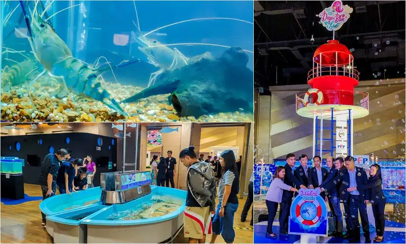 image about เปิดงานมหัศจรรย์สัตว์น้ำ Deep Blue Sea 2018 ชมสัตว์น้ำ ดูปลากัดและกุ้งหลากสี