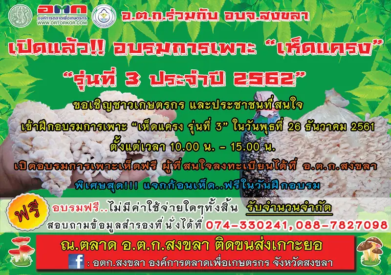 image about อ.ต.ก. ร่วมกับ อบจ.สงขลา เปิดอบรมการเพาะเห็ดแครง รอบใหม่