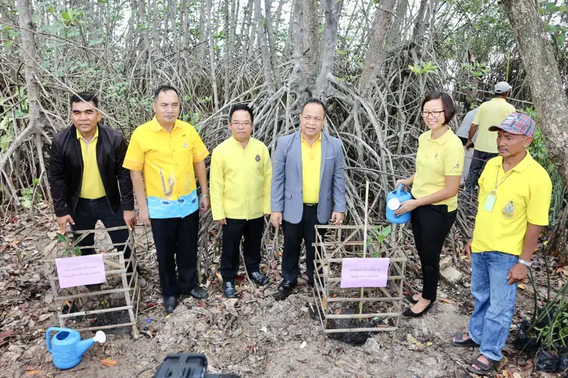 image about คนสงขลานับพันคน  ร่วมกิจกรรมปลูกป่าเฉลิมพระเกียรติ ณ พื้นที่ป่าชุมชนหัวสะพานติณสูลานนท์