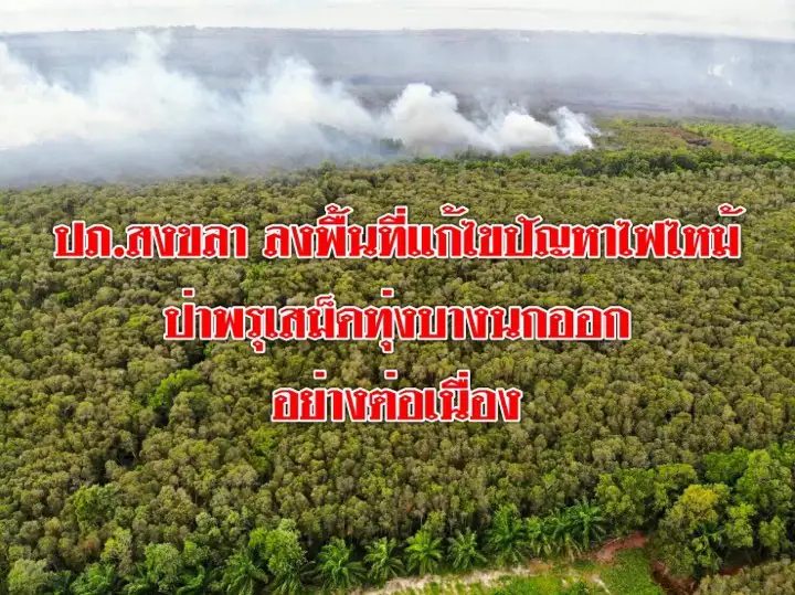image about ปลัดจังหวัดสงขลา พร้อมด้วยหัวหน้าสำนักงานป้องกันและบรรเทาสาธารณภัย ลงพื้นที่เดินหน้าแก้ไขปัญหาไฟไหม้ป่าพรุเสม็ดทุ่งบางนกออกอย่างต่อเนื่อง