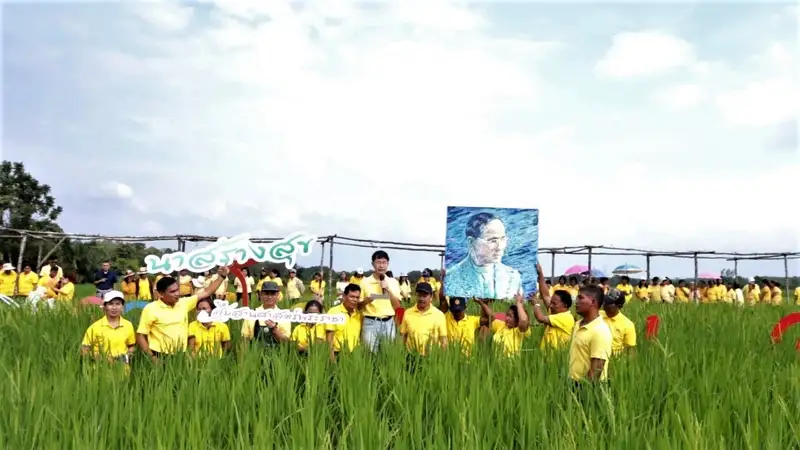 image about ม.ทักษิณ ร่วมสิบสาน​นาสร้างสุข สร้างสุขนอกกรอบด้วยศาสตร์พระราชา