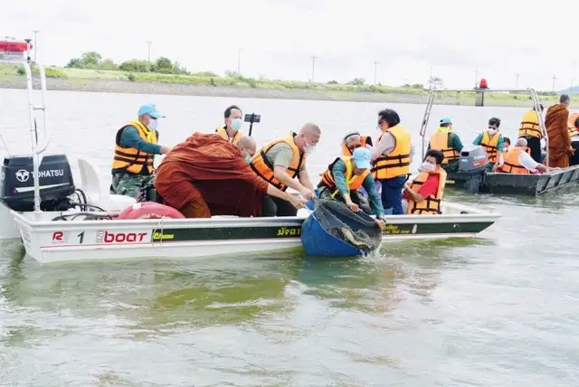 image about วัดป่าแสงธรรมสืบทอดประเพณีอภัยทานปล่อยปลาหน้าเขียงสู่อ่างเก็บน้ำคลองหลา