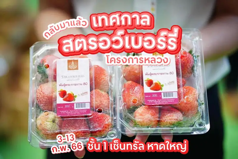 ​Strawberry Lover เทศกาลสตรอว์เบอร์รี่โครงการหลวง