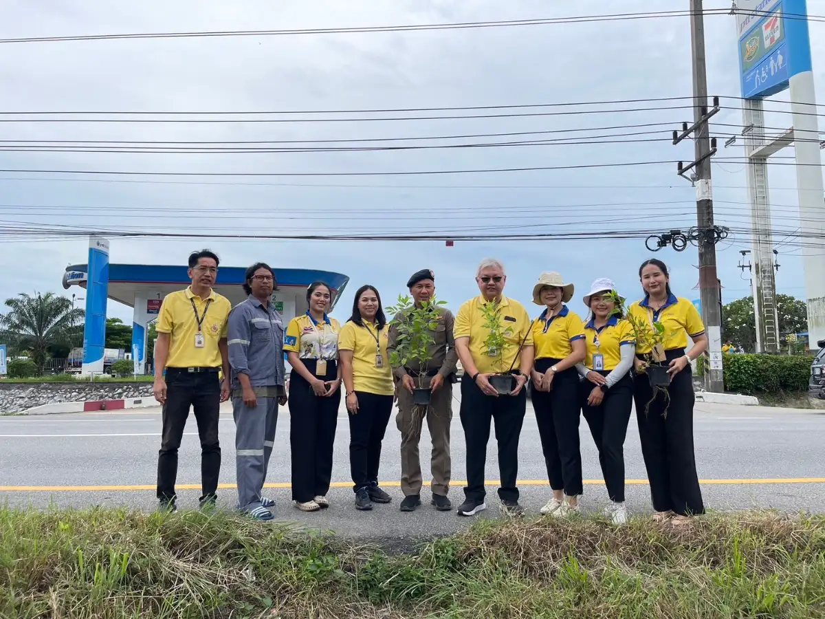 โรงไฟฟ้าจะนะร่วมกิจกรรมปลูกต้นทองอุไรบริเวณถนนสายเอเชีย หาดใหญ่ - จะนะ        