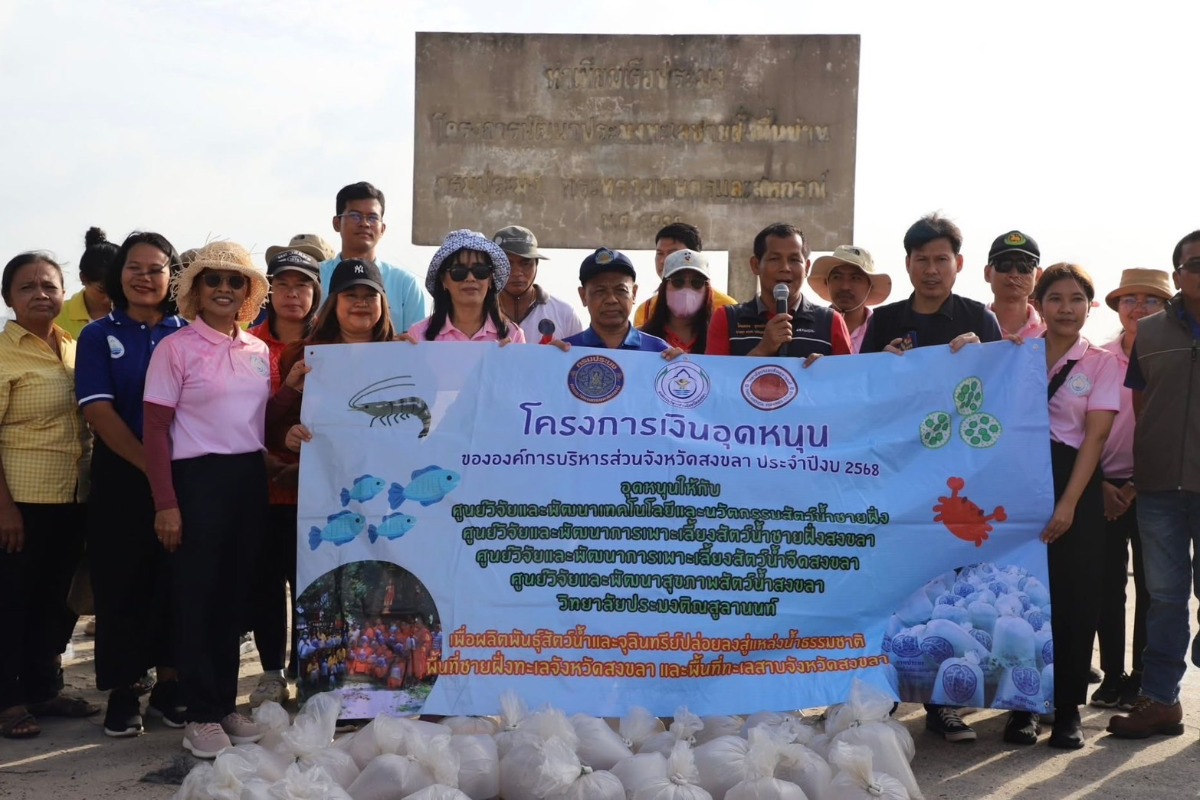 อบจ.สงขลา ปล่อยพันธุ์สัตว์น้ำ (กุ้งแชบ๊วย) 500,000 ตัว ลงหาดพังสาย (อ.สทิงพระ จ.สงขลา) ช่วยเพิ่มผลผลิตทรัพยากรในน้ำและอนุรักษ์ ฟื้นฟูให้คงอยู่อย่างยั่งยืน