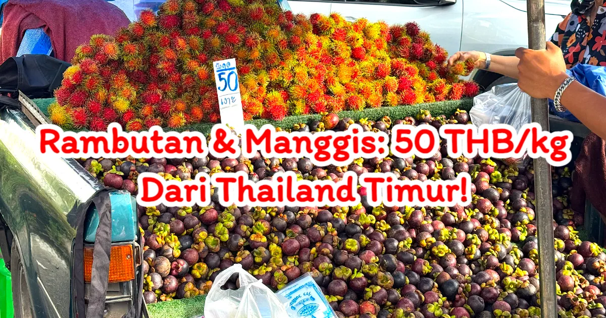 Rambutan dan Manggis Segar dari Wilayah Timur Kini Hadir di HatYai, Harga Mulai 50 Baht per Kilogram!