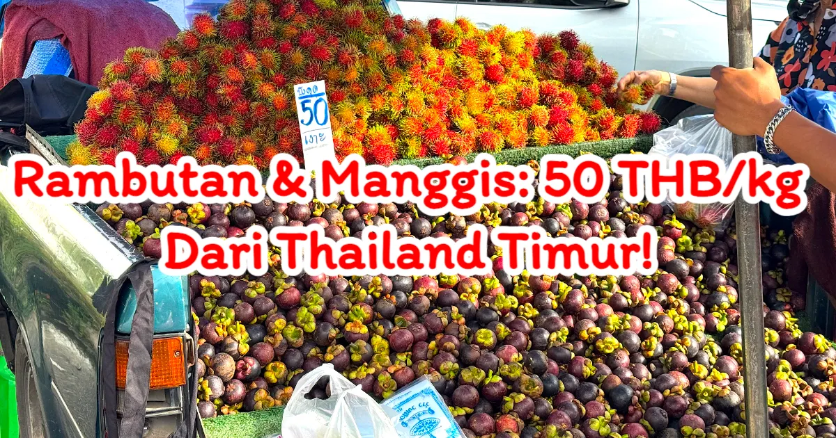 Rambutan dan Manggis Segar dari Timur Kini Dijual di HatYai, Harga Bermula 50 Baht Sekilo!