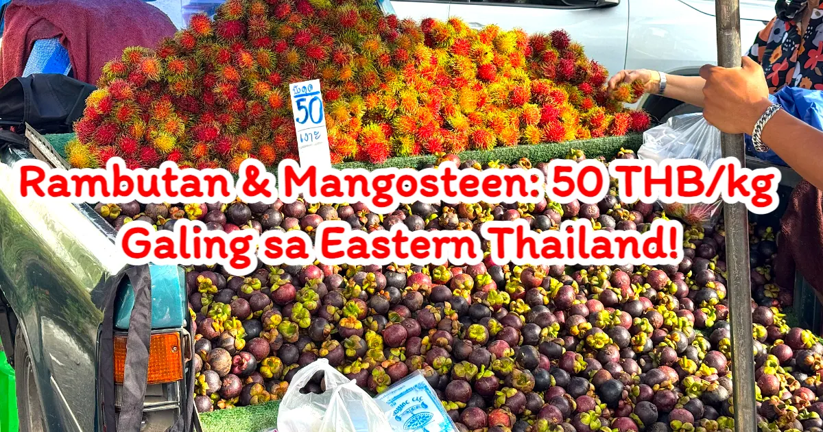 Bagong Dating na Rambutan at Mangosteen mula Silangan, Mabibili na sa HatYai! Presyo Magsisimula sa 50 Baht Kada Kilo
