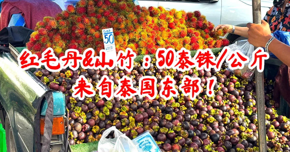 东部新鲜山竹与红毛丹登陆合艾，价格低至每公斤50泰铢