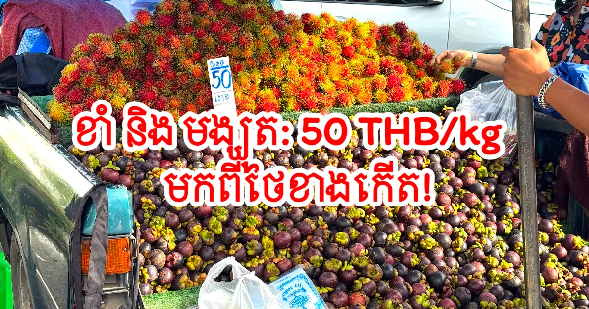 ហ៊ូហា! ផ្លែរុំ និងមង្គុតនាំមកពីភាគខាងកើតចូលលក់ម៉ាស៊ីននៅហាដយ៉ៃ តម្លៃចាប់ផ្តើមត្រឹម ៥០បាតក្នុងមួយគីឡូក្រាម