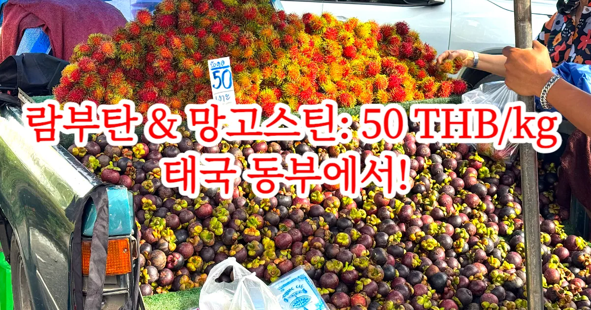 동부산 람부탄과 망고스틴, 핫야이에 도착! 1kg 50바트부터 판매 시작