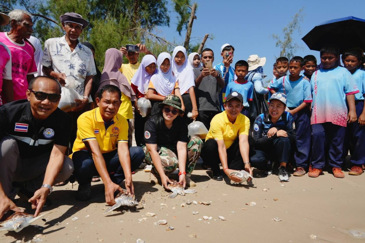 ภาพเกี่ยวกับอบจ.สงขลา ร่วมสร้างจิตสำนึกอนุรักษ์ทะเล-ชายฝั่ง ปล่อยสัตว์น้ำกว่า 1.2 ล้านตัว เสริมความสมดุลระบบนิเวศ