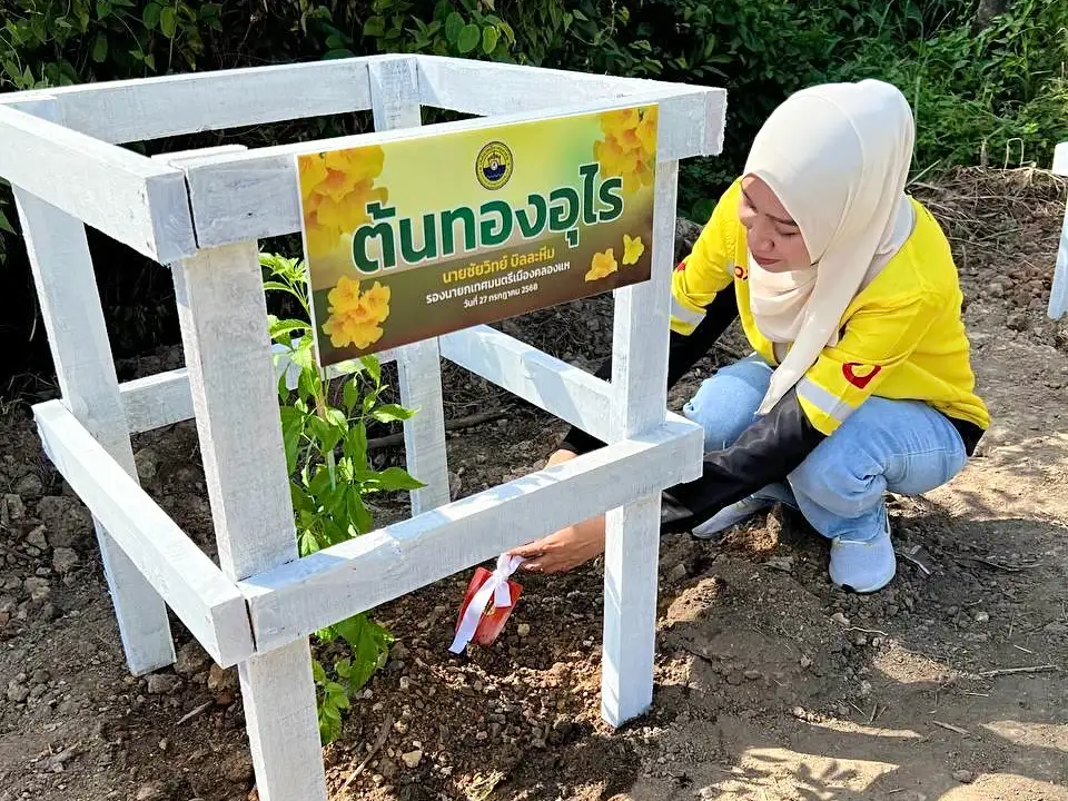 ภาพประกอบเนื้อหา 1 Maxim ประเทศไทย ร่วมกิจกรรมปลูกต้นไม้กับเทศบาลเมืองคลองแห เสริมสร้างสิ่งแวดล้อมและความเป็นระเบียบในท้องถิ่น