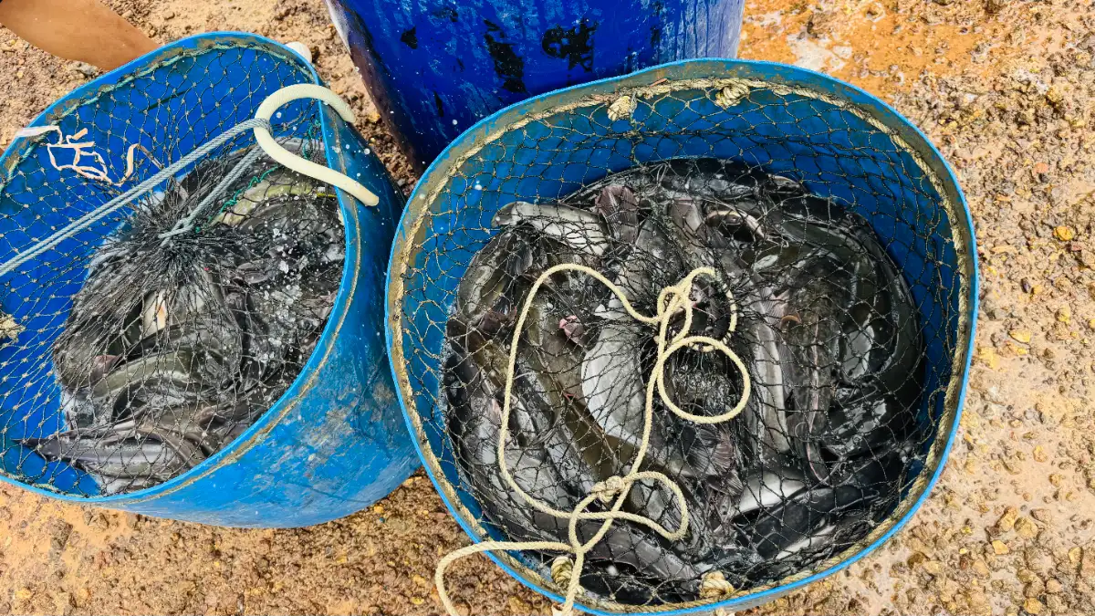 写真4：慈悲に根ざした功徳作りに地域の人々が参画
