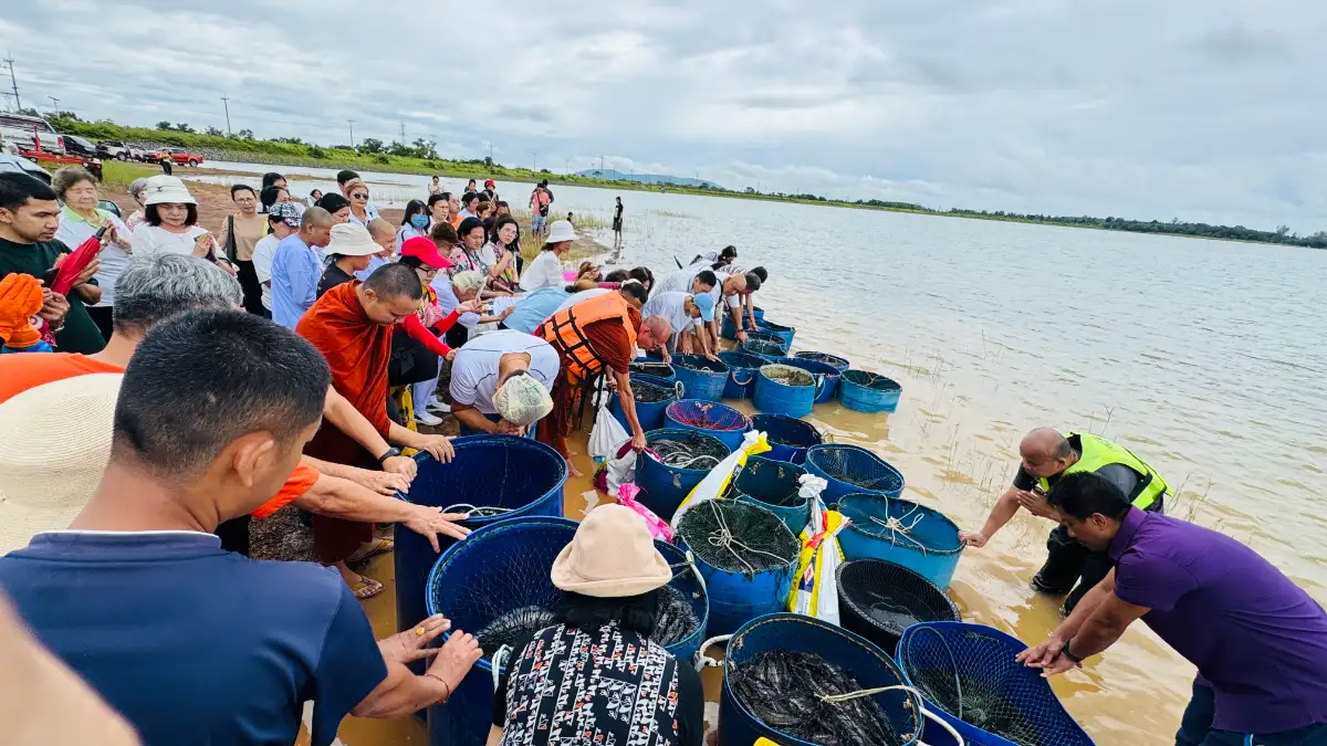 Wat Pa Saeng Tham upholds abhayadāna tradition: 1.6 tonnes of “chopping‑board fish” released back to nature at Khlong La Reservoir
