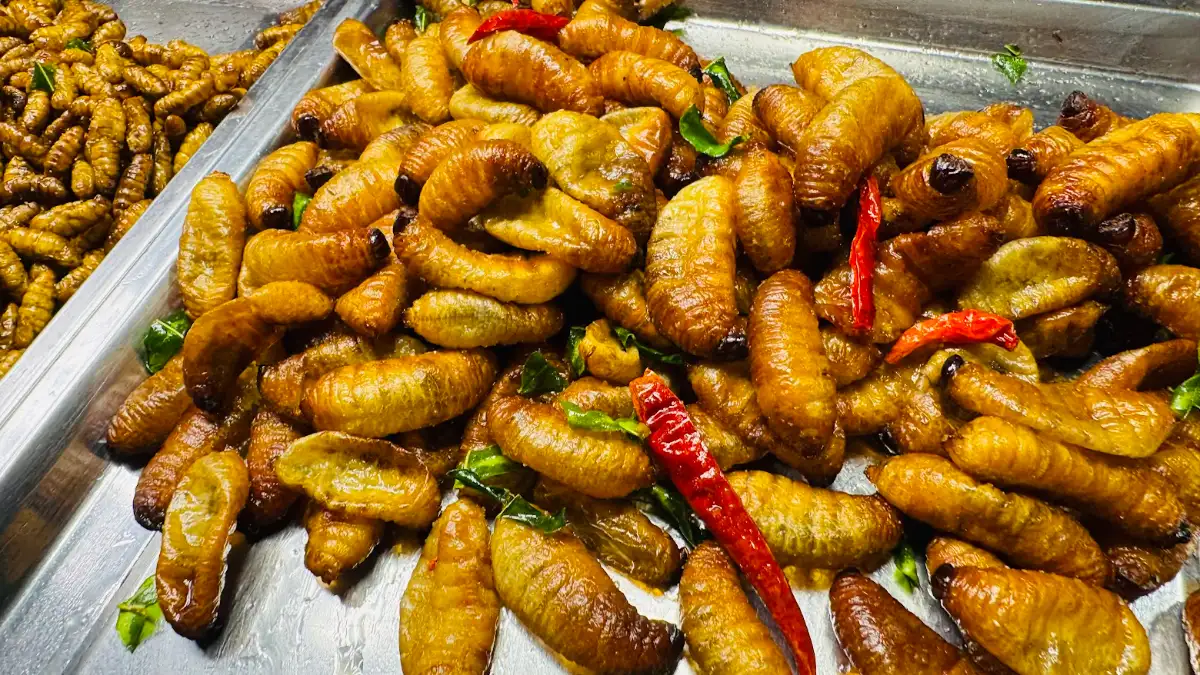ภาพประกอบเนื้อหา 2 ชี้เป้าความอร่อยยามเย็น “แมงทอด น้องฝน” พิกัดตลาดโปะหมอ ของดีที่คนรักแมลงทอดต้องลอง
