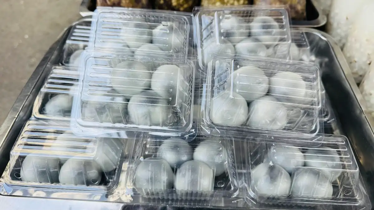 ภาพประกอบเนื้อหา 3 ตำนานความอร่อย 21 ปี! “ร้านน้ำเพื่อสุขภาพพี่ปู & น้องเล็ก” จากเต้าหู้สูตรดั้งเดิม สู่เมนูเครื่องดื่มเพื่อสุขภาพคู่ใจชาวกิมหยง